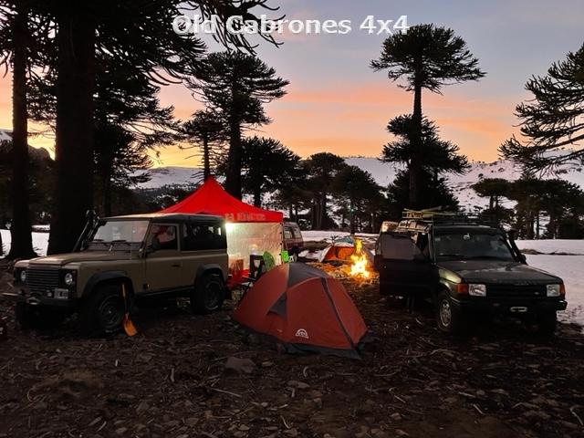 IMG 5499