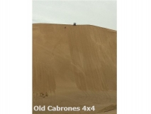 2011_Medano_21