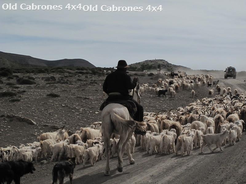 2011_Neuquen_15