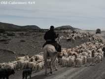 2011_Neuquen_15