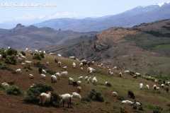 2011_Neuquen_28