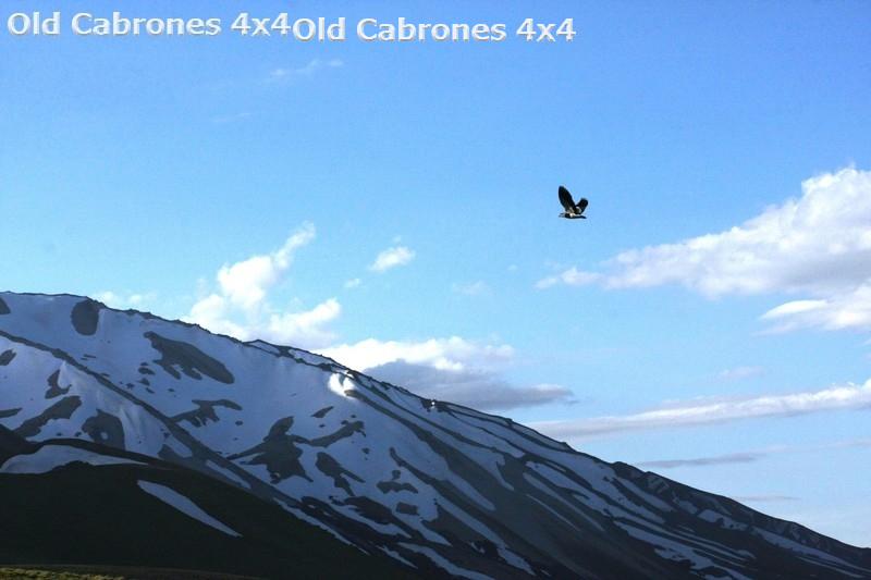 2011_Neuquen_30