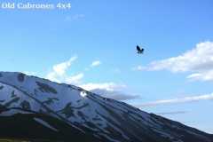 2011_Neuquen_30