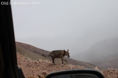 2012_SJuan_20