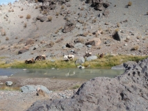 2012_SJuan_58