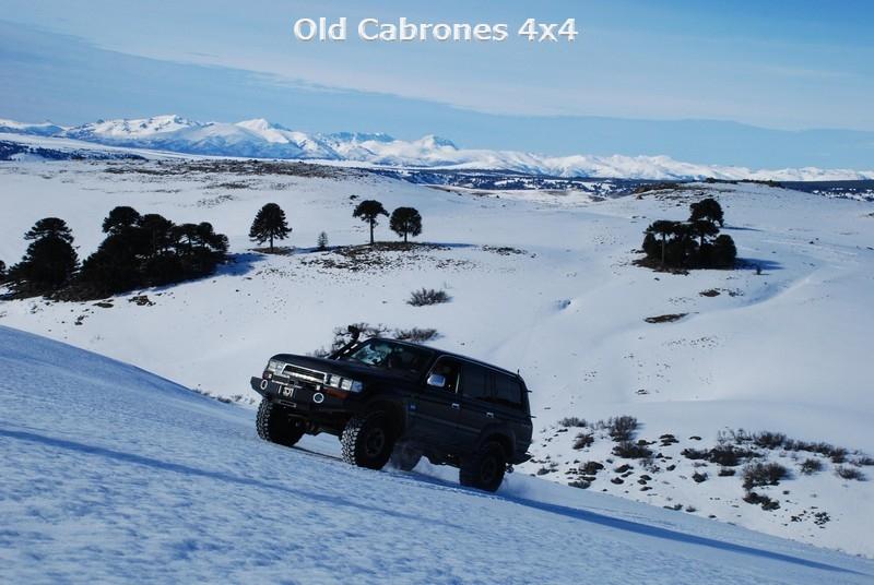 a2015 beto 002
