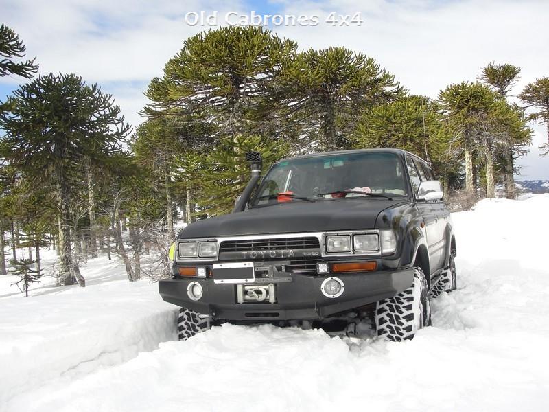 a2015 beto 003