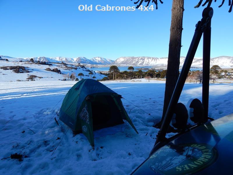 carpas