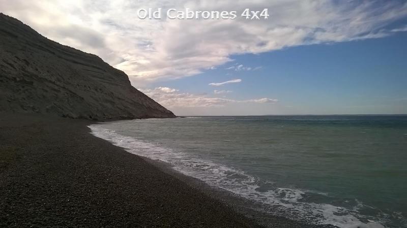 WP 20160415 15 56 48 Pro (Copy)